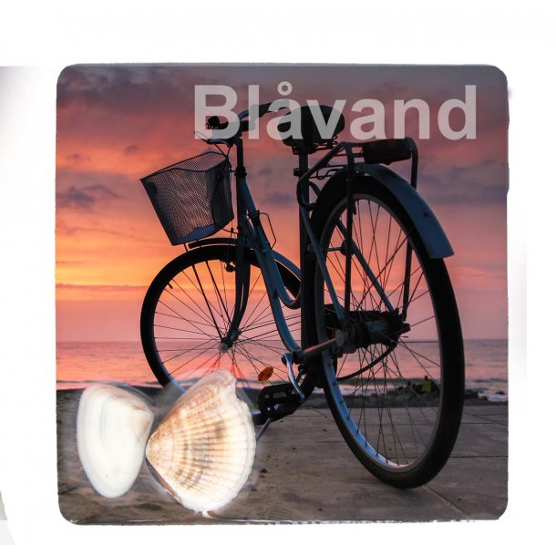 Magnet Med Musling Cykel Vesterhavet Blvand