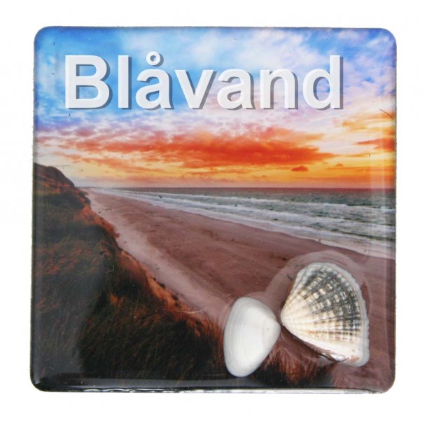 Magnet Med Musling Strand Vesterhavet Blvand