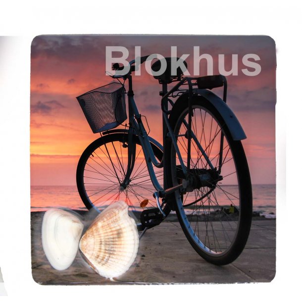 Magnet Med Musling Cykel Vesterhavet Blokhus