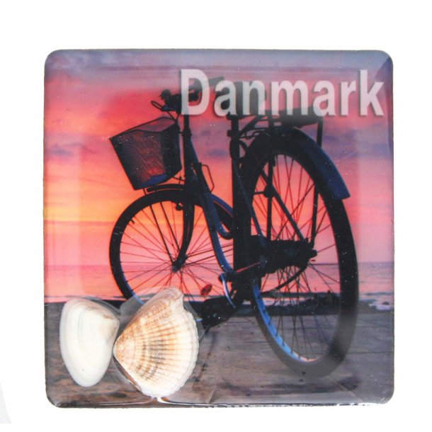 Magnet Med Musling Cykel Vesterhavet