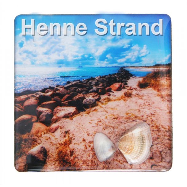 Magnet Med Musling Sten Vesterhavet Henne Strand