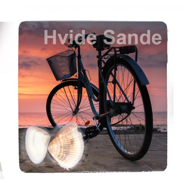 Magnet Med Musling Cykel Vesterhavet Hvide Sande