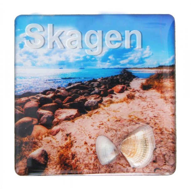 Magnet Med Musling Sten Vesterhavet Skagen