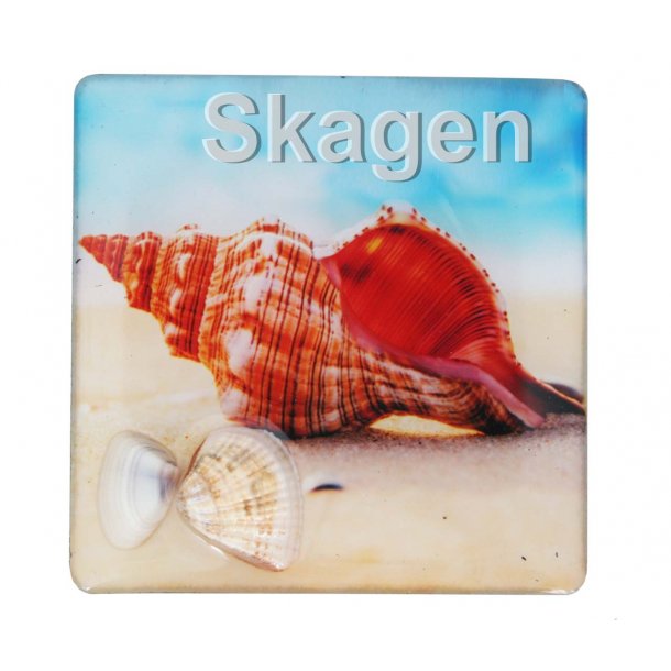 Magnet Med Musling Konkylie Vesterhavet Skagen