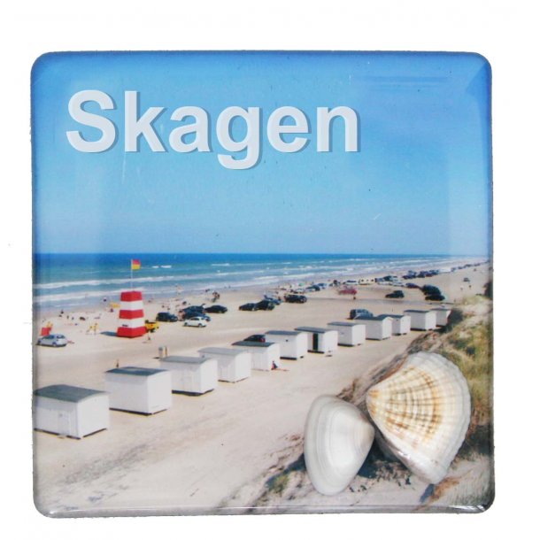 Magnet Med Musling Huse Vesterhavet Skagen