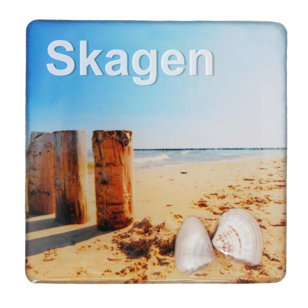 Magnet Med Musling Sjler Vesterhavet Skagen