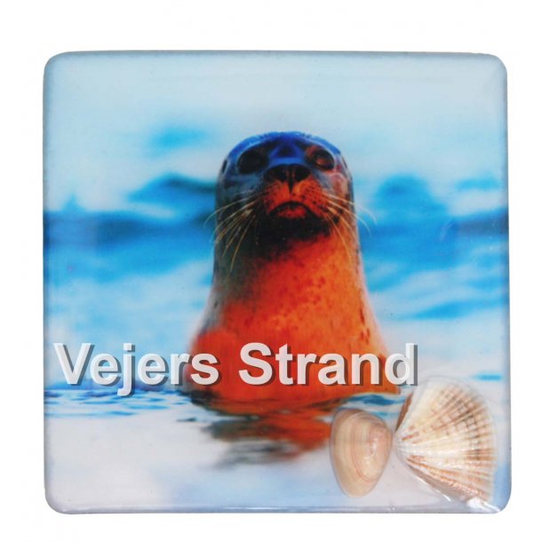 Magnet Med Musling Sl Vesterhavet Vejers Strand