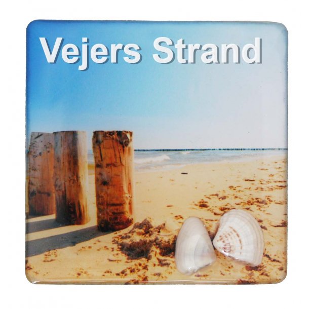 Magnet Med Musling Sjler Vesterhavet Vejers Strand